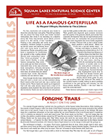 Fall 2013 Tracks & Trails